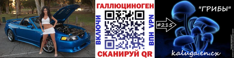 закладки  Мезень  Псилоцибиновые грибы мицелий 
